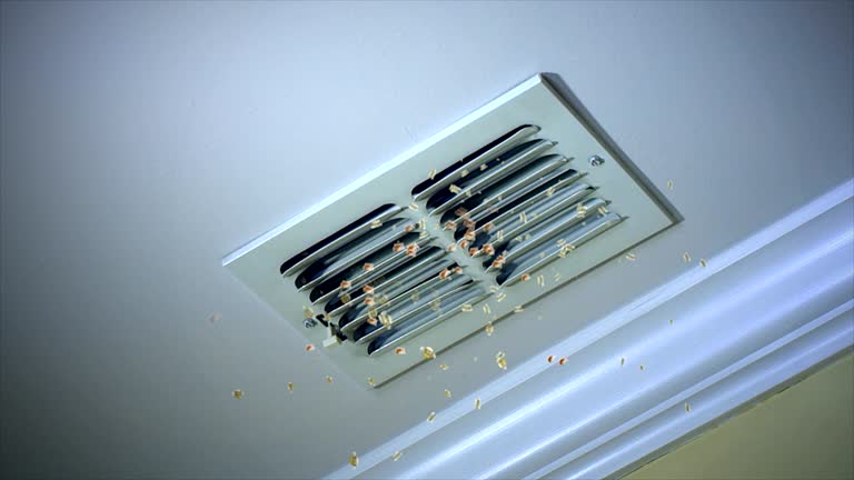 Best Local Air Duct Cleaning Services  in Winfield, WV