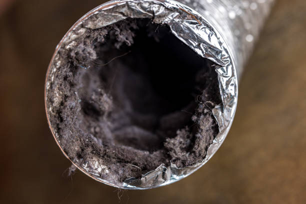 Best General Air Duct Cleaning  in Winfield, WV